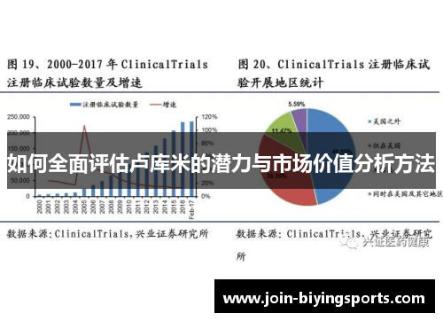 如何全面评估卢库米的潜力与市场价值分析方法