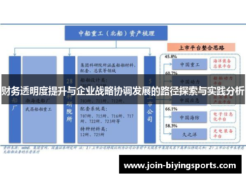 财务透明度提升与企业战略协调发展的路径探索与实践分析
