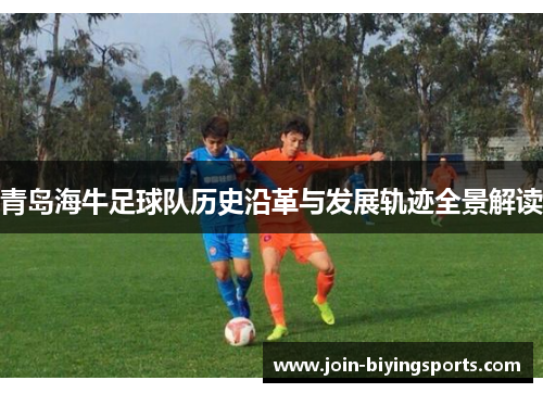 青岛海牛足球队历史沿革与发展轨迹全景解读 青岛海牛足球队历史沿革与发展轨迹全景解读